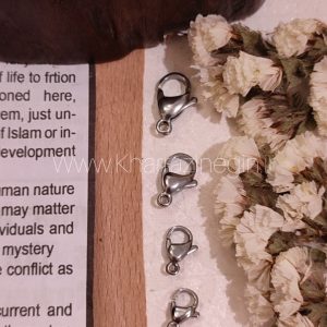 ای نقره استیل طوطی قفل